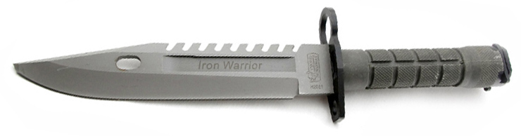    "Iron Warrior"